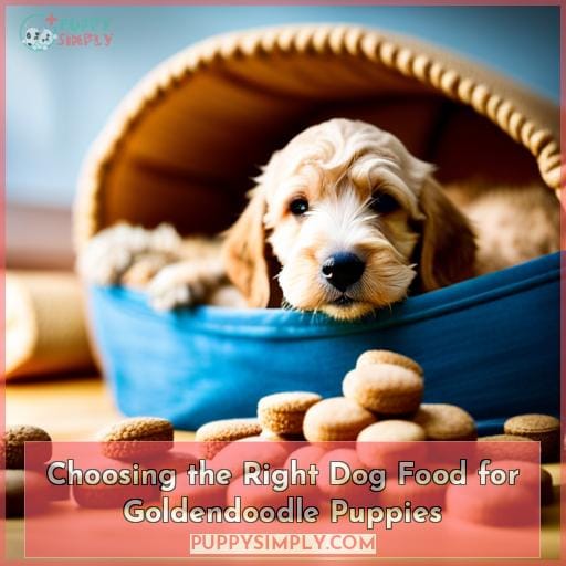Choosing the Right Dog Food for Goldendoodle Puppies