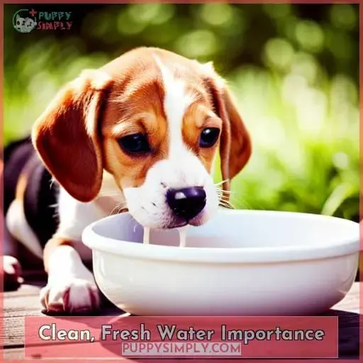 Clean, Fresh Water Importance