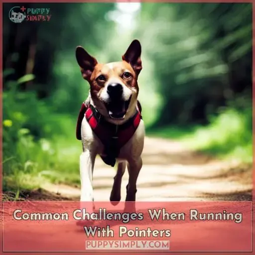 Common Challenges When Running With Pointers