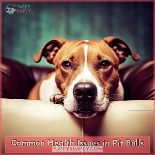Common Health Issues in Pit Bulls
