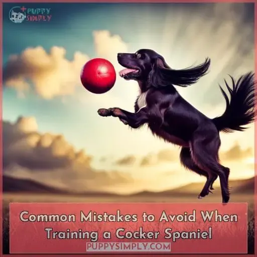 Common Mistakes to Avoid When Training a Cocker Spaniel
