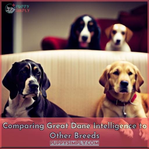 Comparing Great Dane Intelligence to Other Breeds