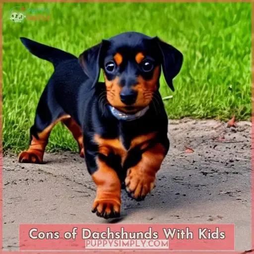 Cons of Dachshunds With Kids