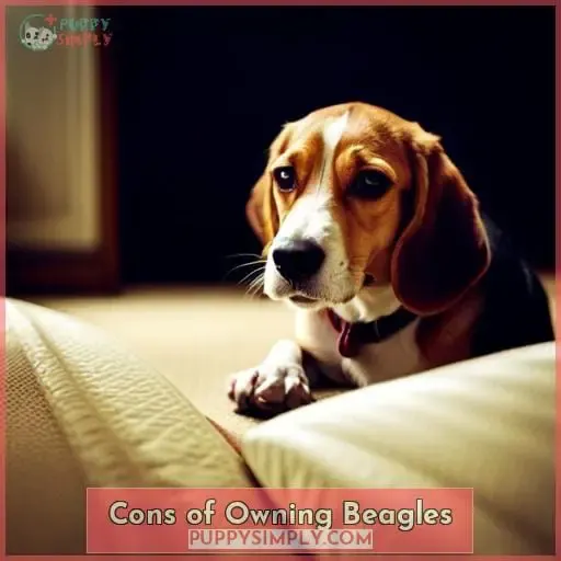Cons of Owning Beagles
