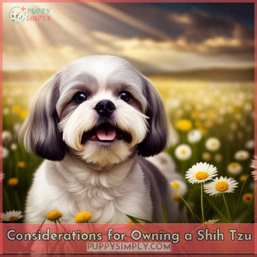 Considerations for Owning a Shih Tzu