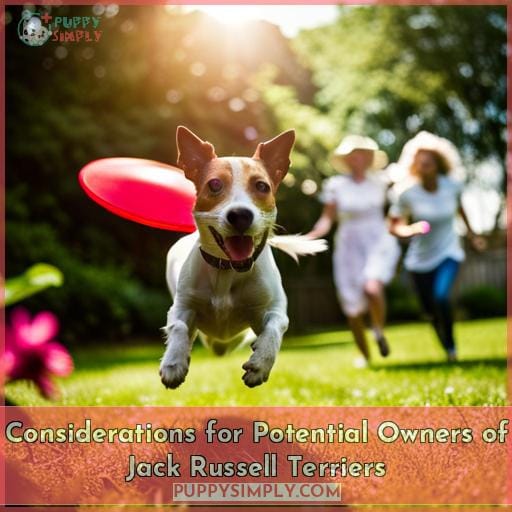 Considerations for Potential Owners of Jack Russell Terriers