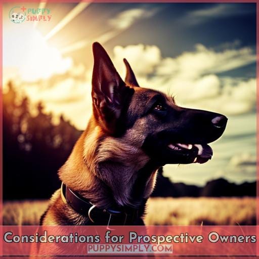 Considerations for Prospective Owners