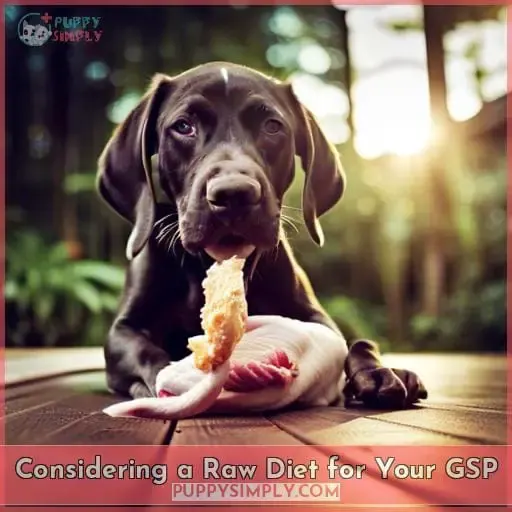 Considering a Raw Diet for Your GSP
