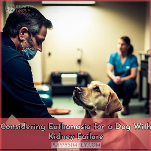 Considering Euthanasia for a Dog With Kidney Failure