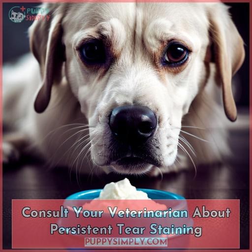 Consult Your Veterinarian About Persistent Tear Staining