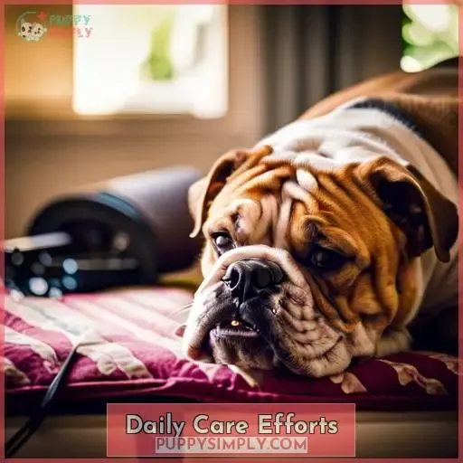 Daily Care Efforts