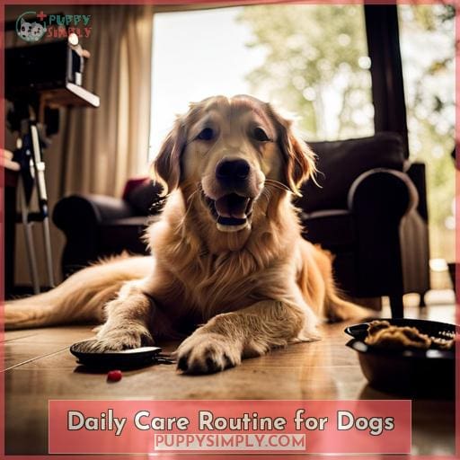 Daily Care Routine for Dogs