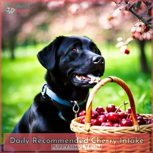 Daily Recommended Cherry Intake