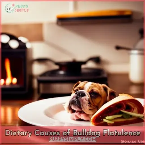 Dietary Causes of Bulldog Flatulence