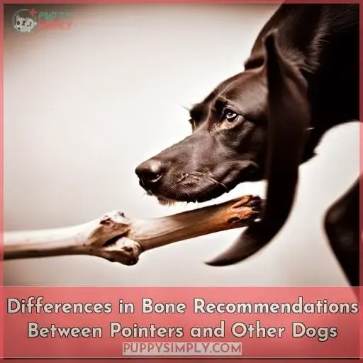 Differences in Bone Recommendations Between Pointers and Other Dogs