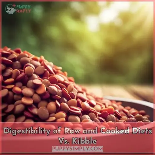 Digestibility of Raw and Cooked Diets Vs. Kibble