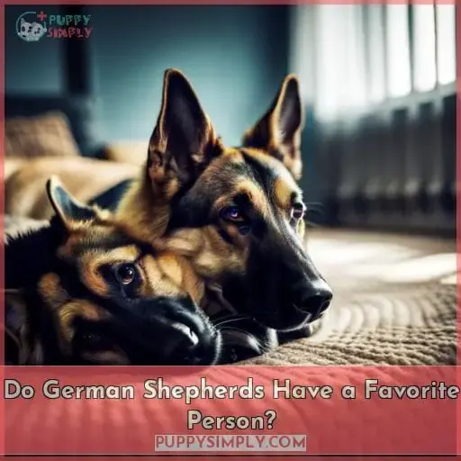 Do German Shepherds Have a Favorite Person