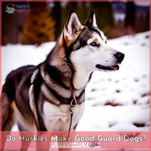 Do Huskies Make Good Guard Dogs