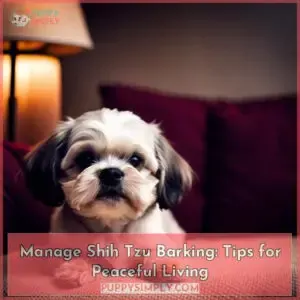 do shih tzus bark a lot get peace in your home again