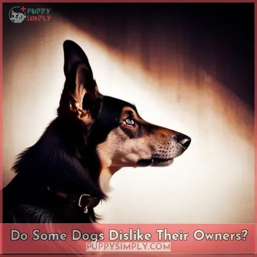 Do Some Dogs Dislike Their Owners