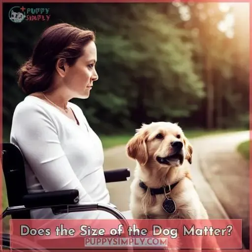 Does the Size of the Dog Matter
