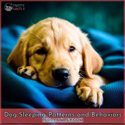 Dog Sleeping Patterns and Behaviors