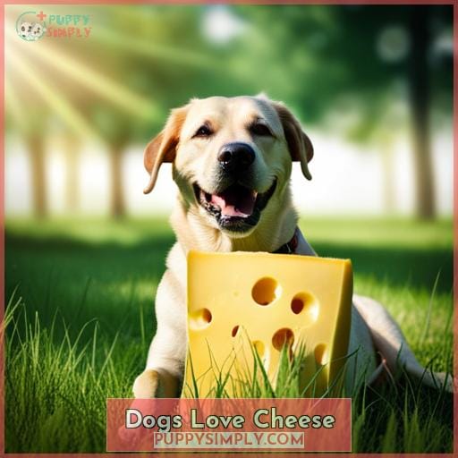 Dogs Love Cheese