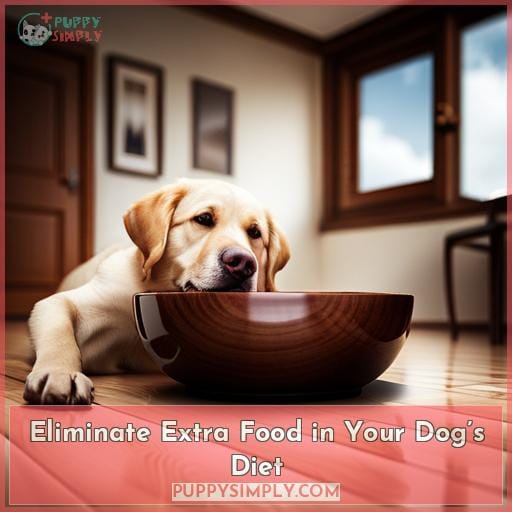 Eliminate Extra Food in Your Dog’s Diet