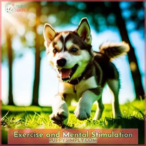 Exercise and Mental Stimulation
