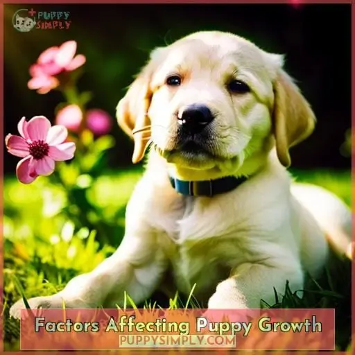 Factors Affecting Puppy Growth