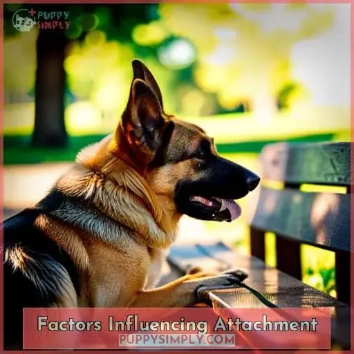 Factors Influencing Attachment