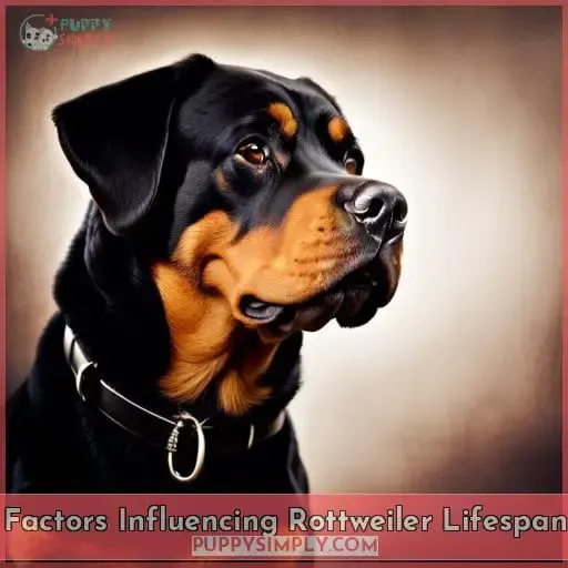Factors Influencing Rottweiler Lifespan
