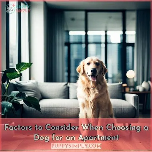 Factors to Consider When Choosing a Dog for an Apartment