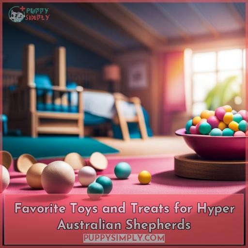 Favorite Toys and Treats for Hyper Australian Shepherds