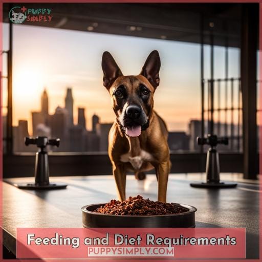 Feeding and Diet Requirements