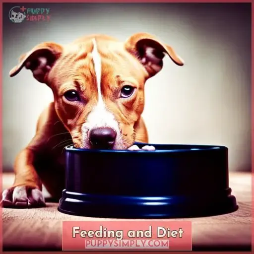 Feeding and Diet