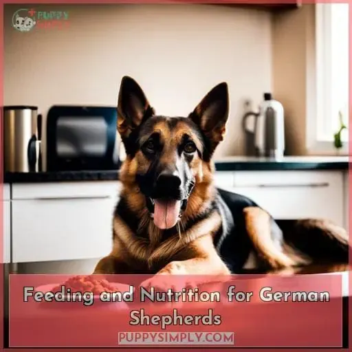 Feeding and Nutrition for German Shepherds