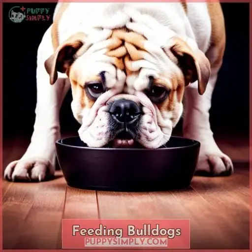 Feeding Bulldogs