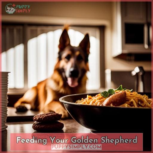 Feeding Your Golden Shepherd