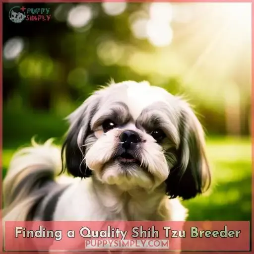 Finding a Quality Shih Tzu Breeder