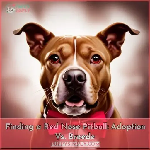 Finding a Red Nose Pitbull: Adoption Vs. Breede