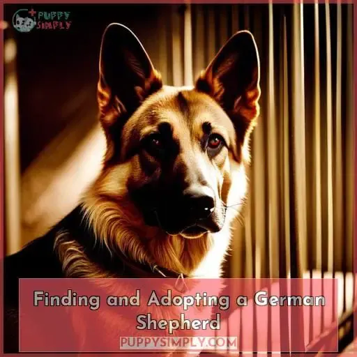 Finding and Adopting a German Shepherd