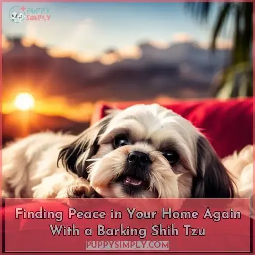 Finding Peace in Your Home Again With a Barking Shih Tzu