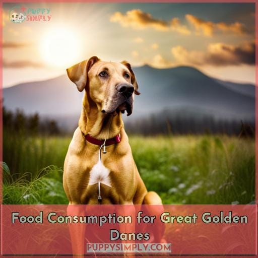 Food Consumption for Great Golden Danes