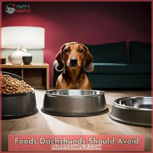 Foods Dachshunds Should Avoid