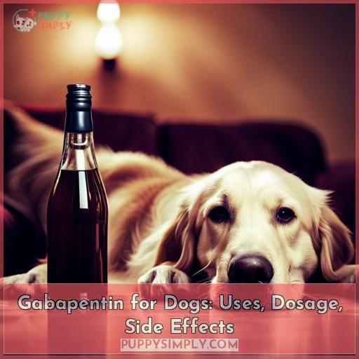 gabapentin with dogs