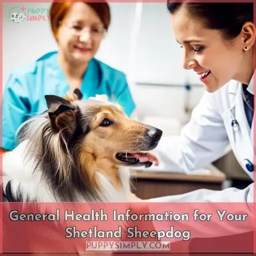 General Health Information for Your Shetland Sheepdog