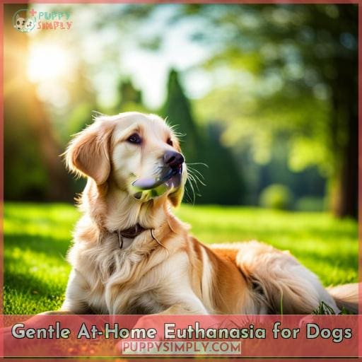 Gentle at-Home Euthanasia for Dogs
