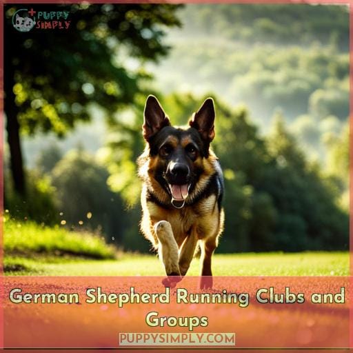 German Shepherd Running Clubs and Groups
