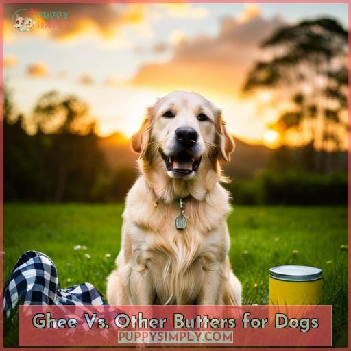 Ghee Vs. Other Butters for Dogs